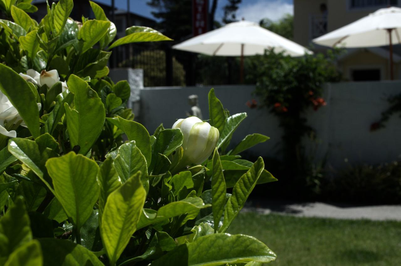 Hosteria Robert Villa Gesell Dış mekan fotoğraf