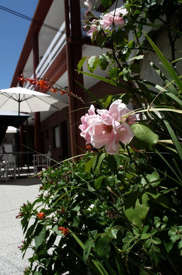 Hosteria Robert Villa Gesell Dış mekan fotoğraf